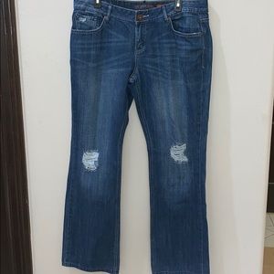 Chip and Pepper Plus Size Jeans